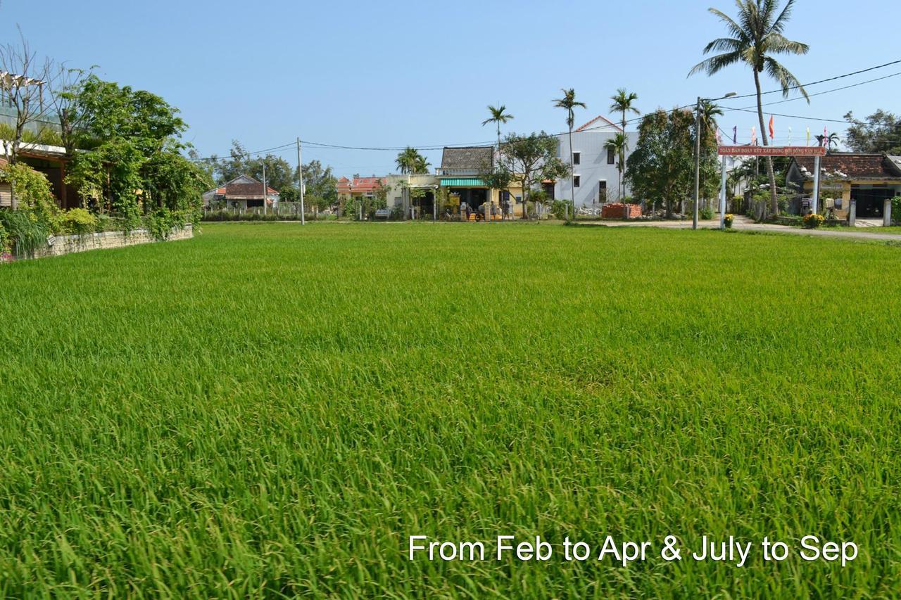 Hoi An Chic - Green Retreat Eksteriør billede