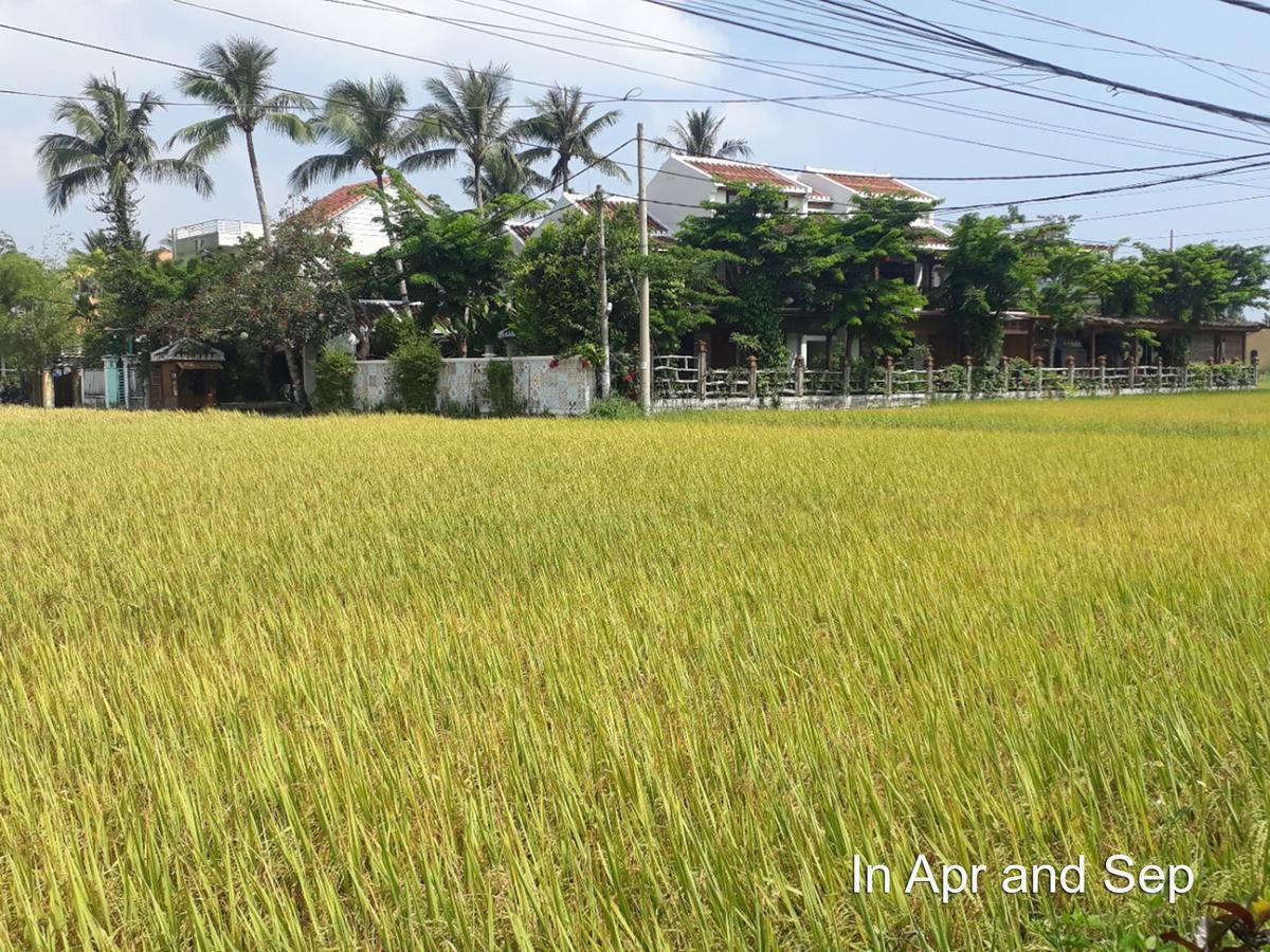 Hoi An Chic - Green Retreat Eksteriør billede